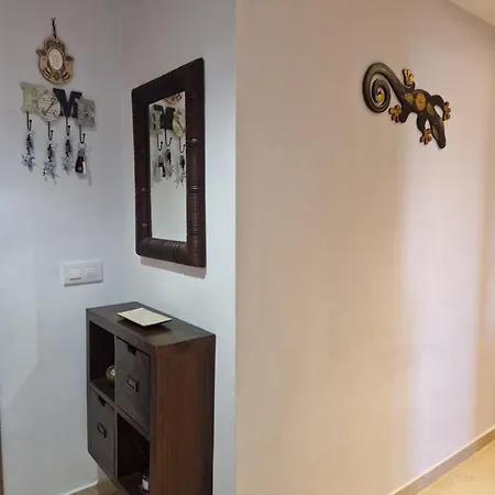 The Salamandras 阿罗约德拉迷雅